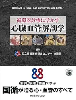 循環器診療に活かす 心臓血管解剖学 | 国立循環器病研究センター